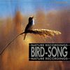 Birdsong