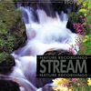 Stream