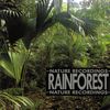 Rain Forest